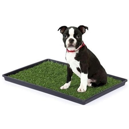 PREVUE HENDRYX Prevue Hendryx PP-502 Tinkle Turf - Large PP-502